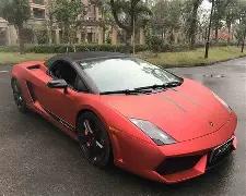 阿莫林公布,梅努赛季恐,休战,Pg电子,Pg电子试玩模拟器,PG,game,Pg电子试玩模拟器官网