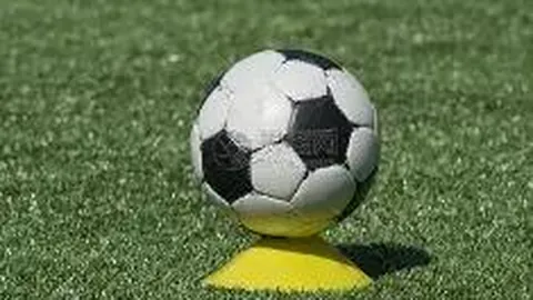 Pg电子试玩模拟器