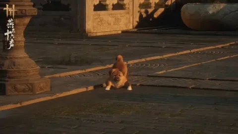 Pg电子试玩模拟器